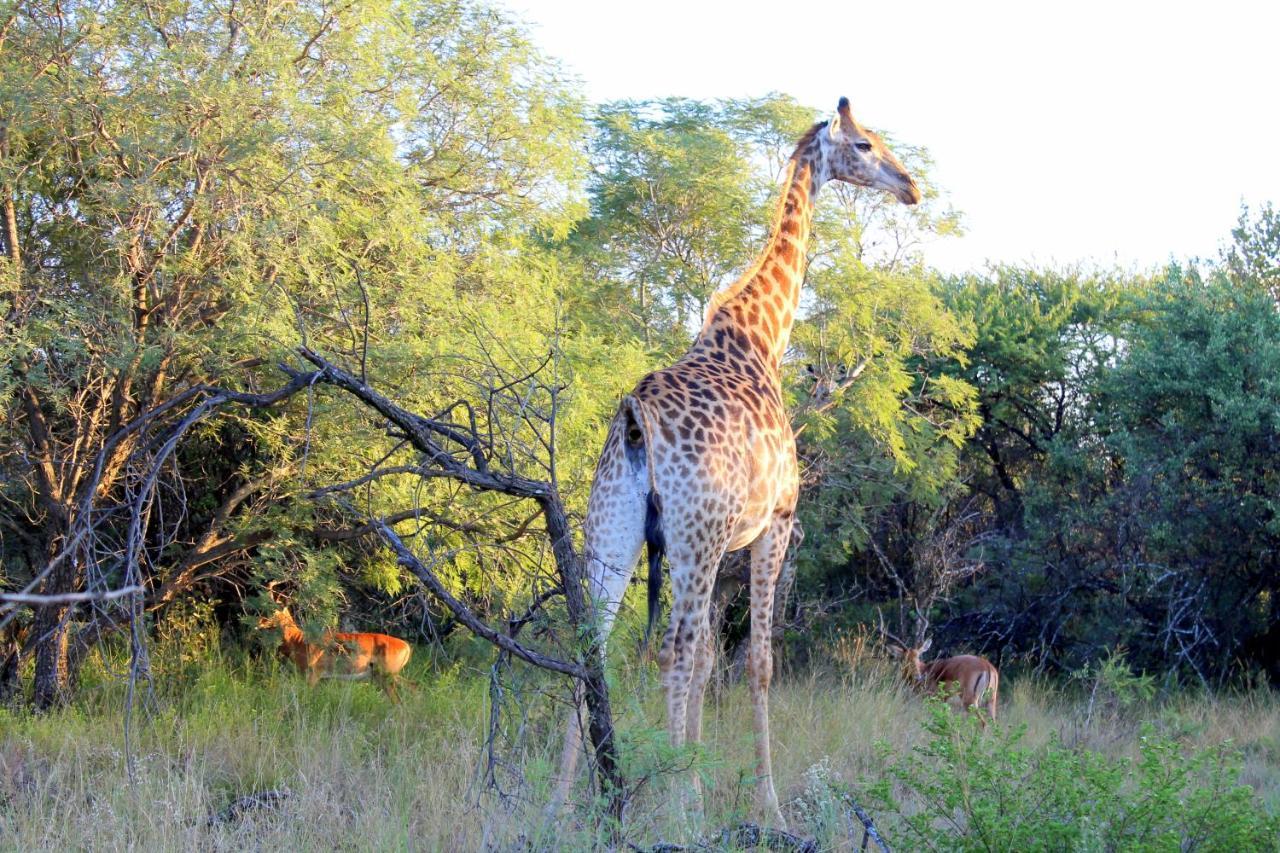Ndlovu Log Home Dinokeng Klipdrift 外观 照片