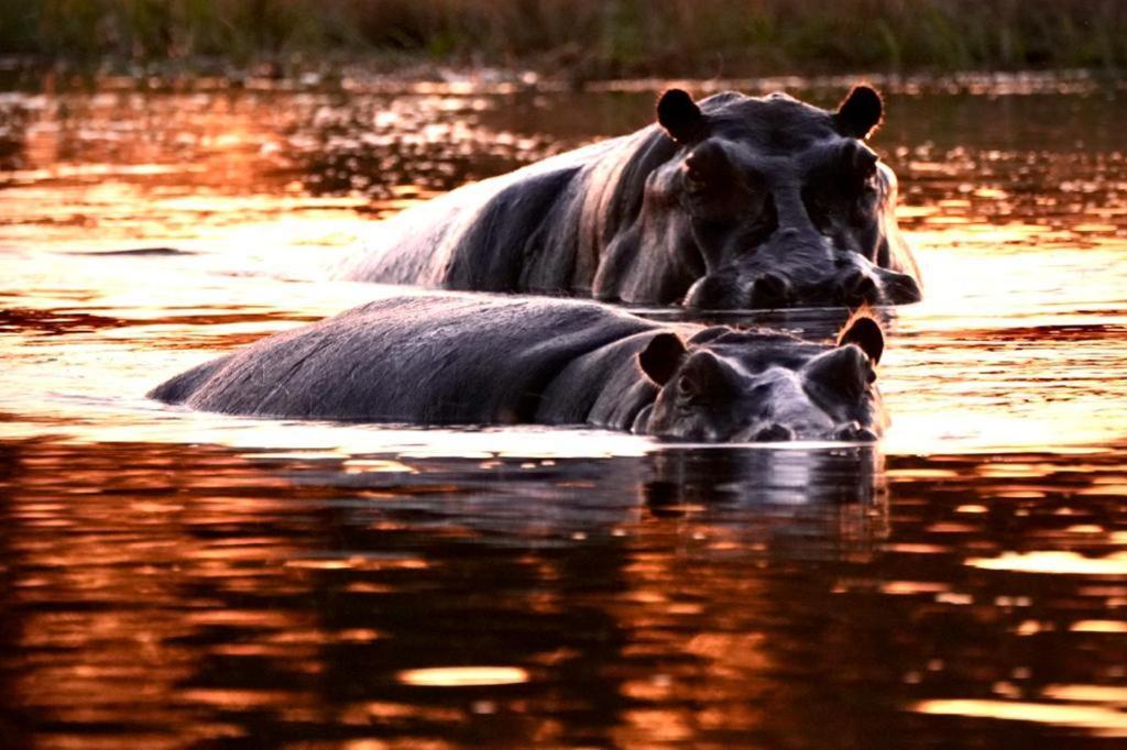 Ndlovu Log Home Dinokeng Klipdrift 外观 照片