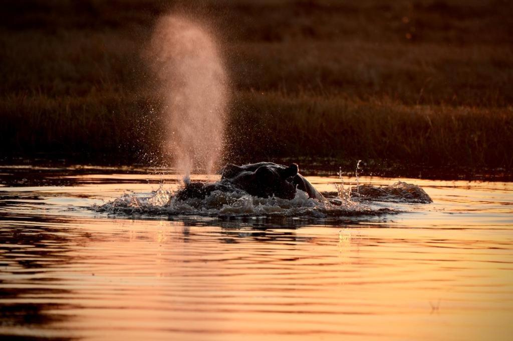 Ndlovu Log Home Dinokeng Klipdrift 外观 照片