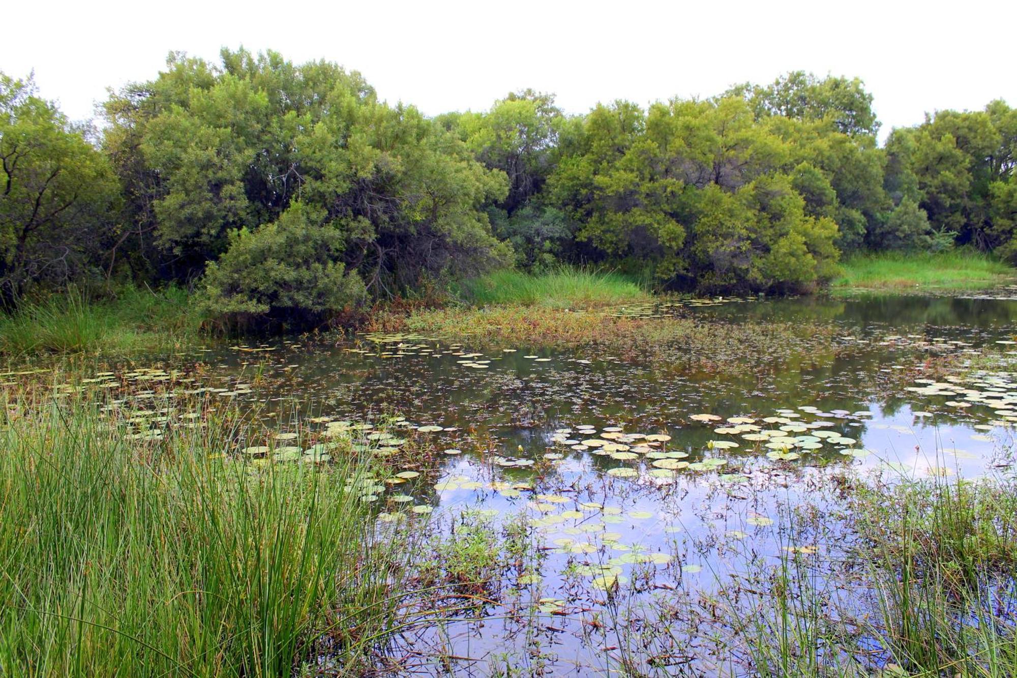 Ndlovu Log Home Dinokeng Klipdrift 外观 照片