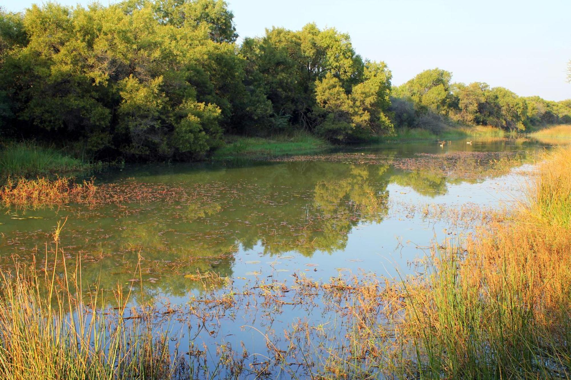 Ndlovu Log Home Dinokeng Klipdrift 外观 照片